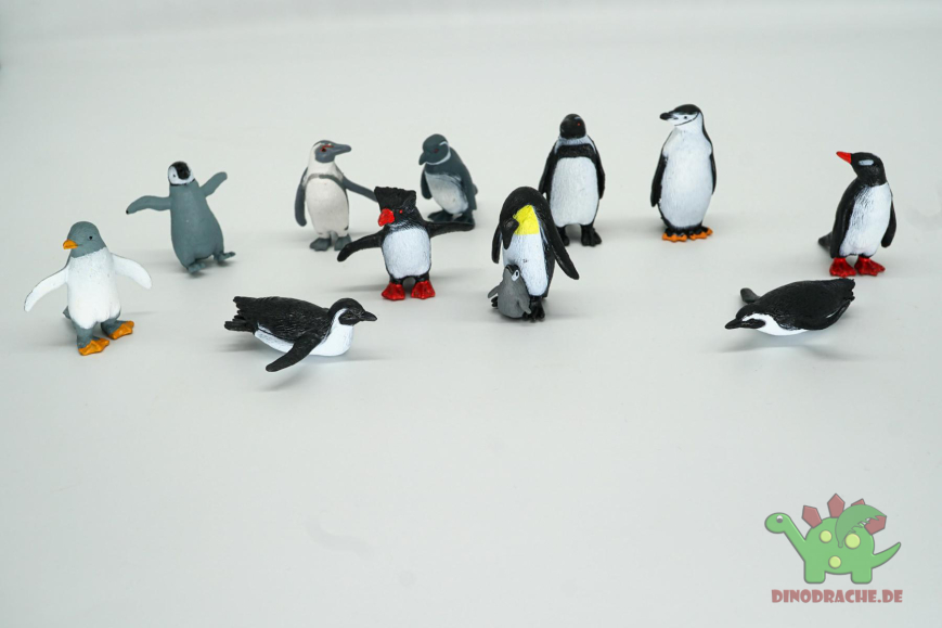 Safari Ltd. Pinguin Bundle
